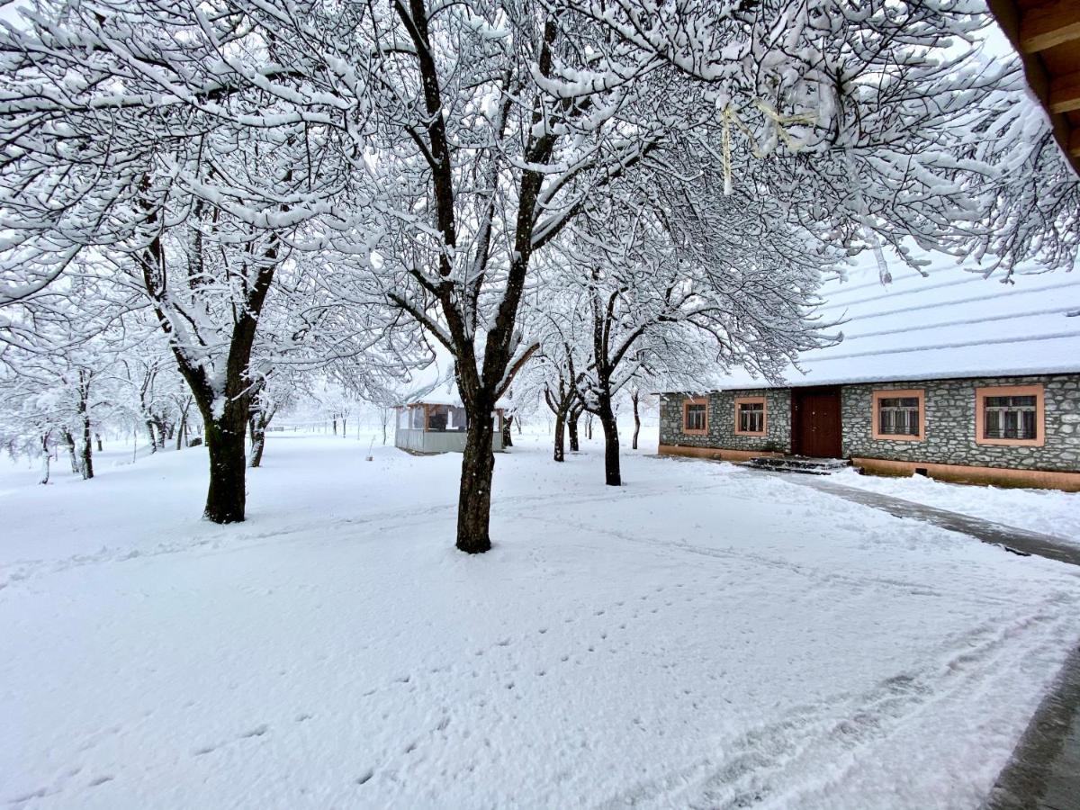 Peraj Guesthouse Vermosh Exteriér fotografie