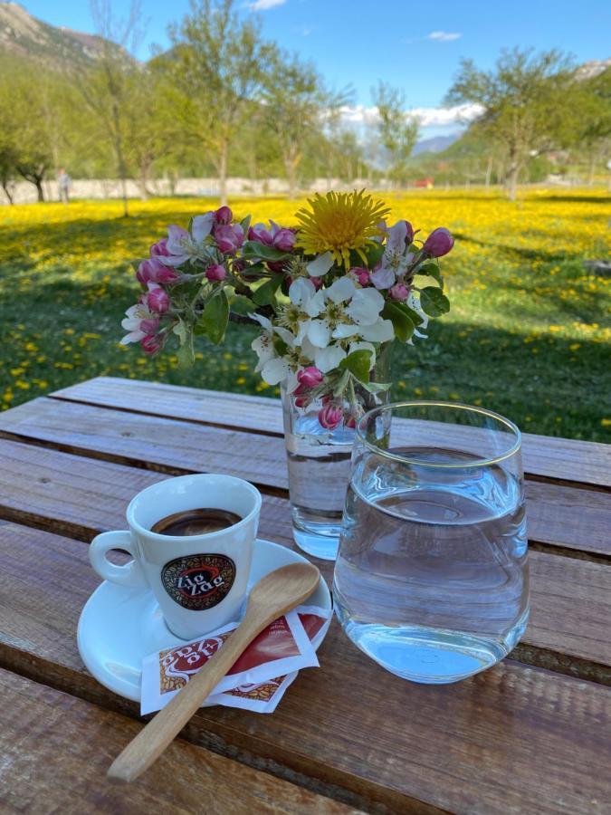 Peraj Guesthouse Vermosh Exteriér fotografie